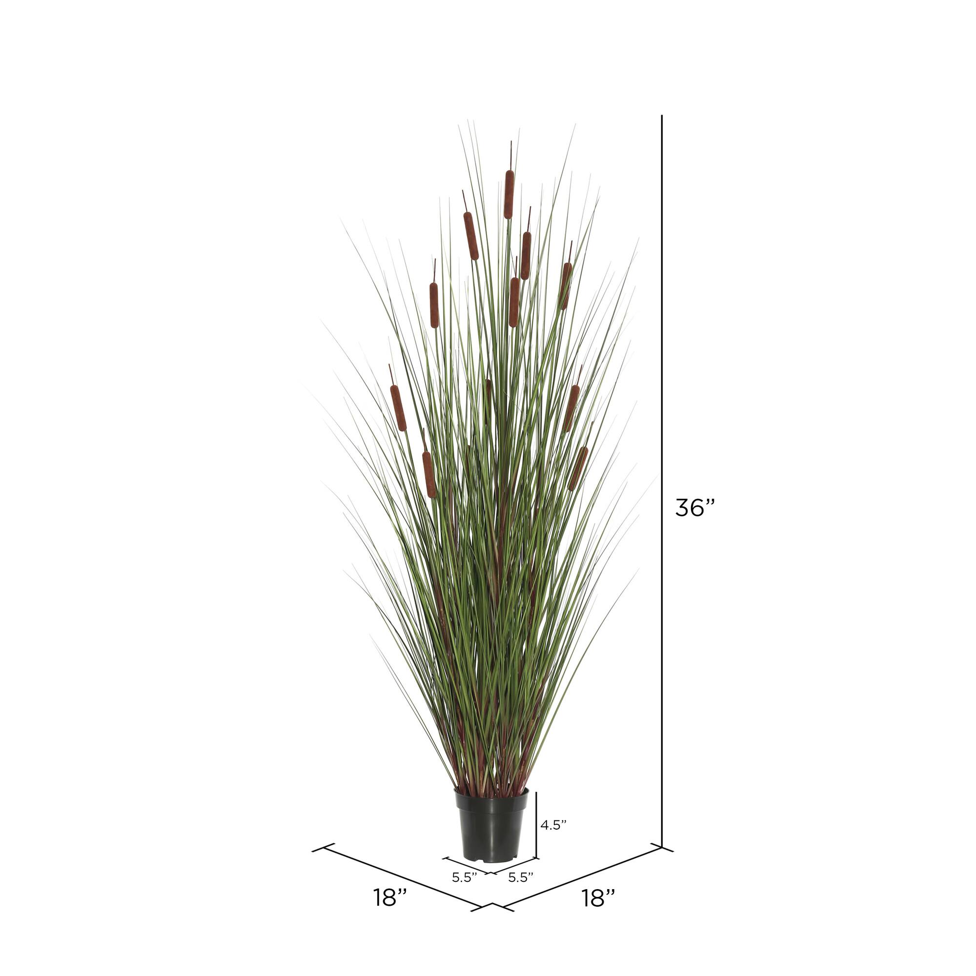 Potted Green Straight Grass & Cattails